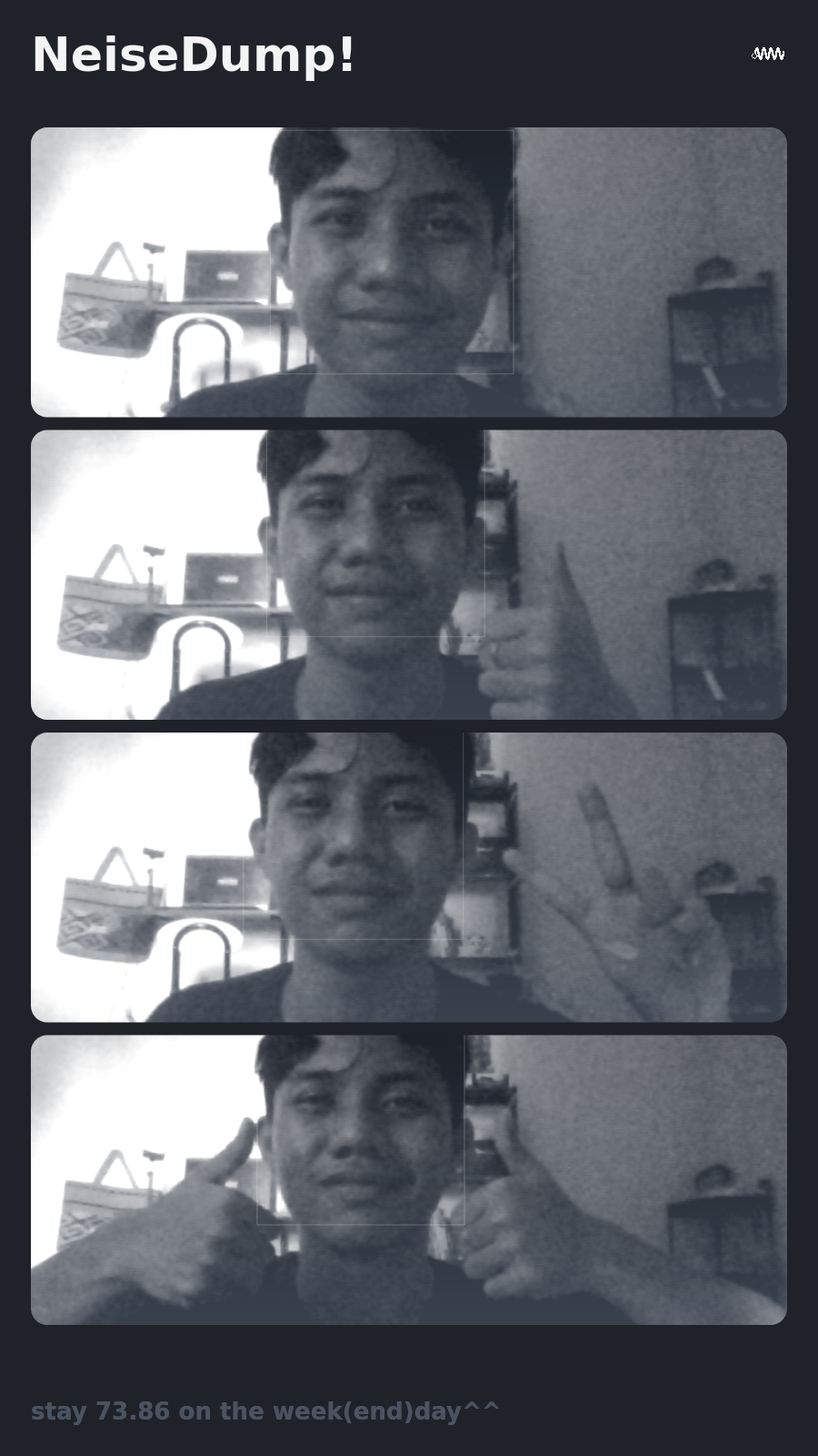 NeiseDump! — Local Web Photobooth — image 2